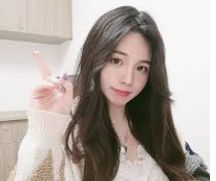 旗舰介绍系统